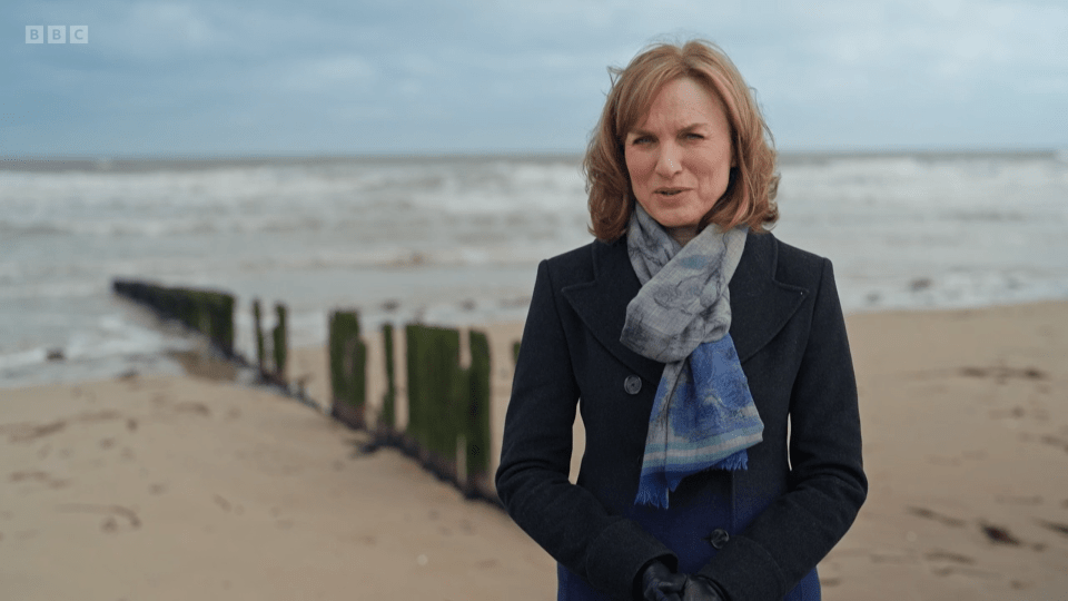 Fiona Bruce fronted Antiques Roadshow's commemoration of the 80th anniversary of the D-Day landings