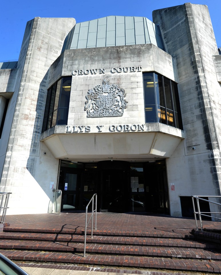 McLachlan's former partner bravely gave evidence at Swansea Crown Court during a five-day trial