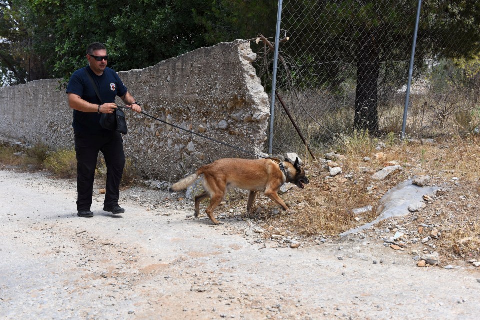 A police dog scouring the Greek island for a sign of the TV doctor