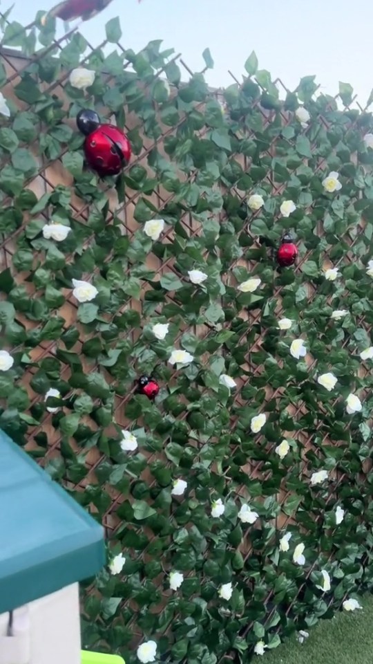 The influencer added some decorative ladybirds throughout the trellis