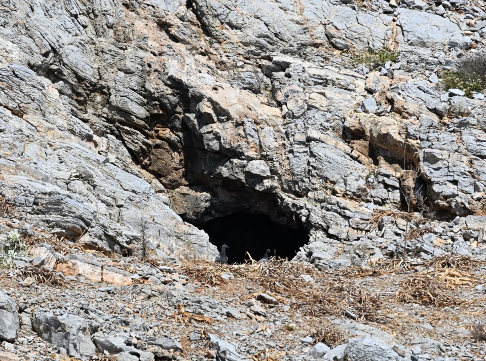 The rescue mission on Saturday afternoon and Sunday morn was focused around the cave system close to Agia Marina