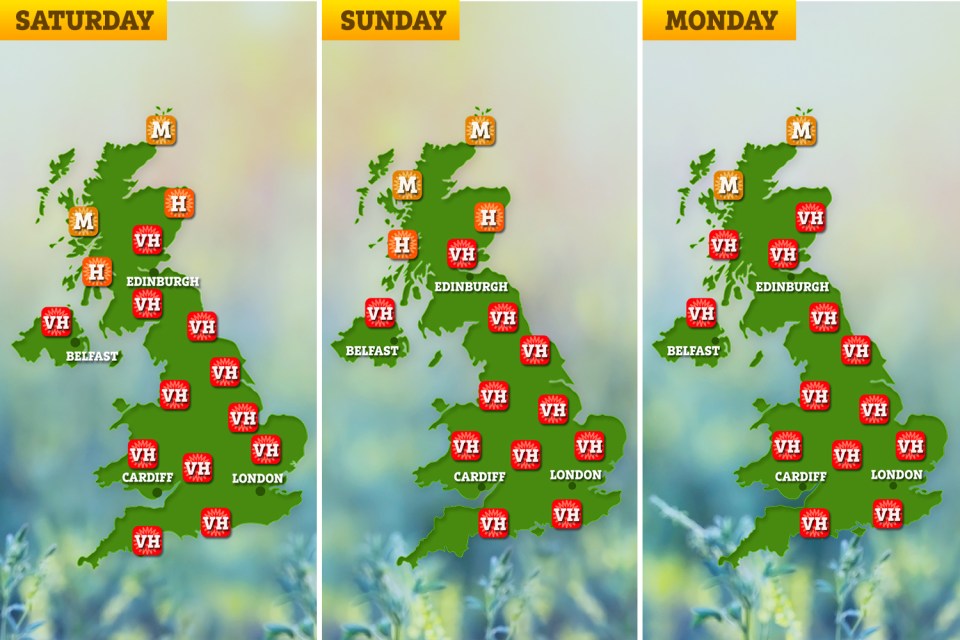 The pollen count over the next three days