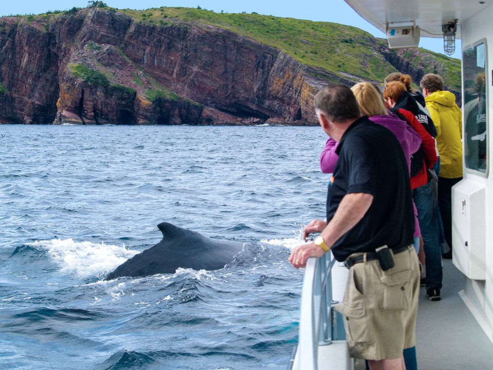 Newfoundland, Canada, is less than a five-hour flight time from the UK