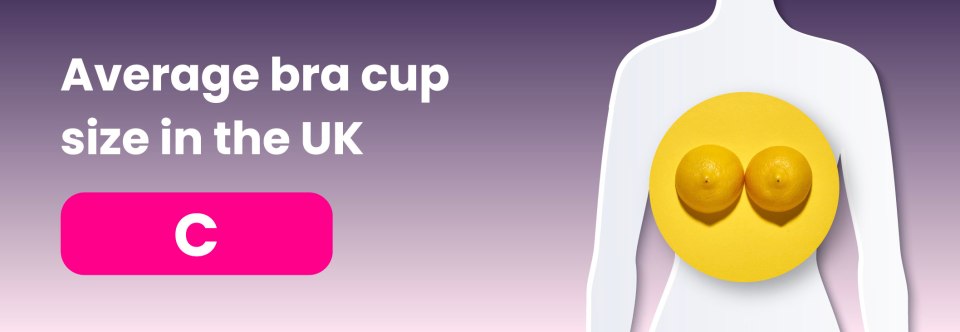 Women in the UK have an average cup size of C