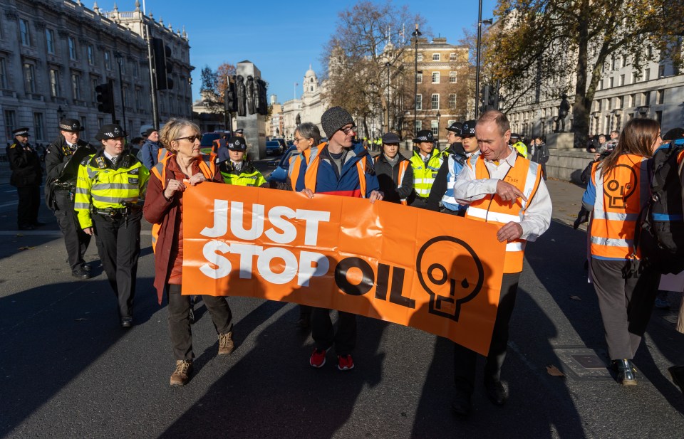 Just Stop Oil has teamed up with similar cells across the continent to target hundreds of holiday flights