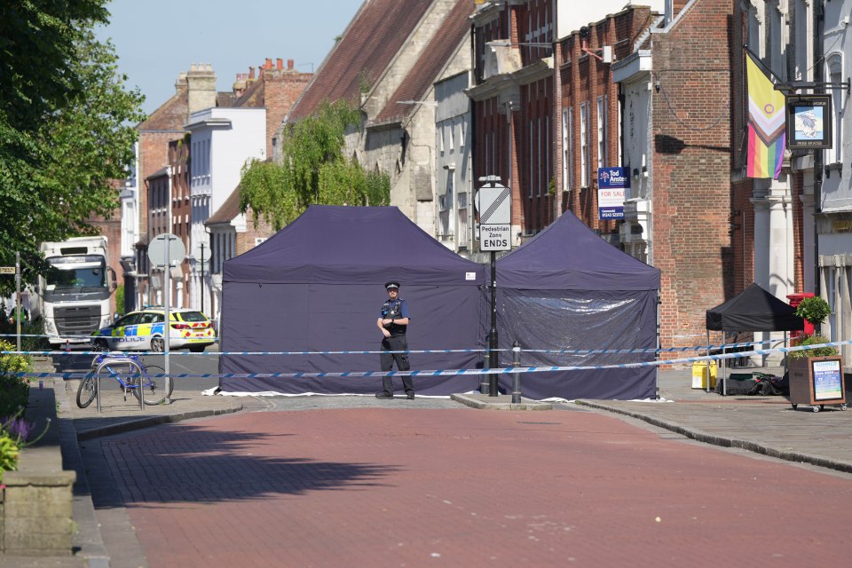 Officers were called to the Dolphin and Anchor Wetherspoons in Chichester