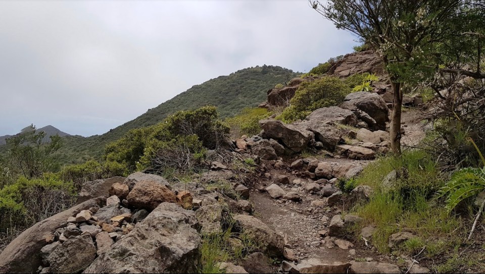 The teen’s last known location was the Teno Rural Park