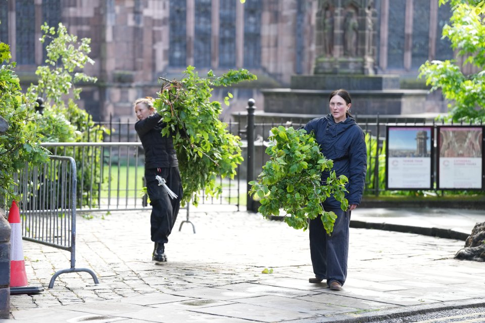 The couple's wedding is looking to resemble Princess Kate and Prince William's big day in 2011 - with trees seen being brought in this week