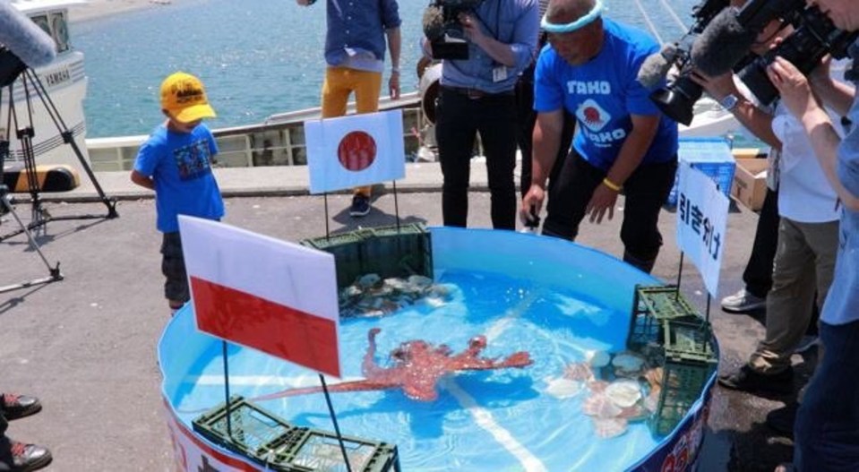 Rabio the Octopus correctly predicted Japan's 2018 World Cup results