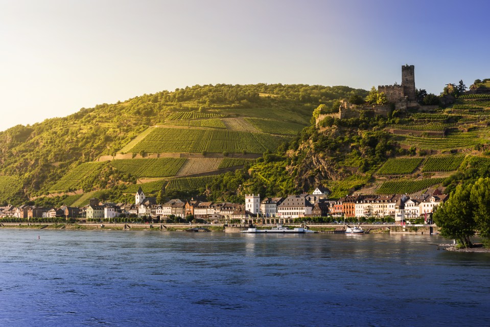 The Sun's Lisa Minot suggests some summer river cruises, pictured the stunning countryside of the Rhine gorge