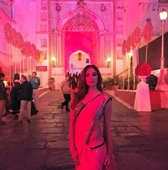 Former Pussycat Doll Nicole performed at a Hinduja family wedding back in 2015