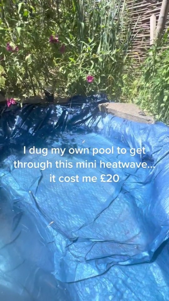 She revealed it cost her less than £20