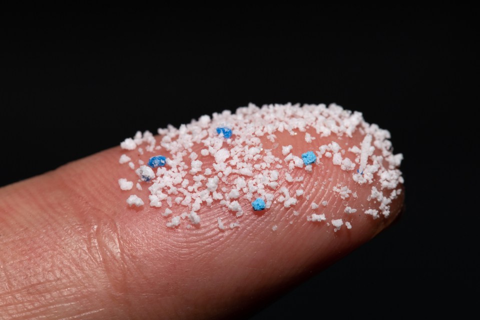 Microplastics have been found in penises for the first time