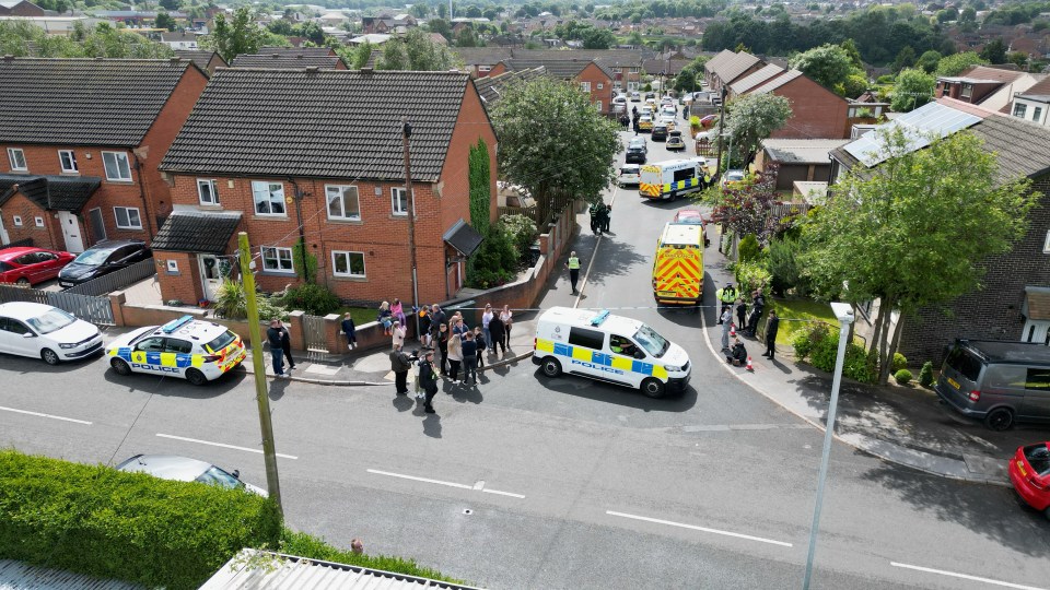 Officers scrambled to the Half Mile Green housing estate