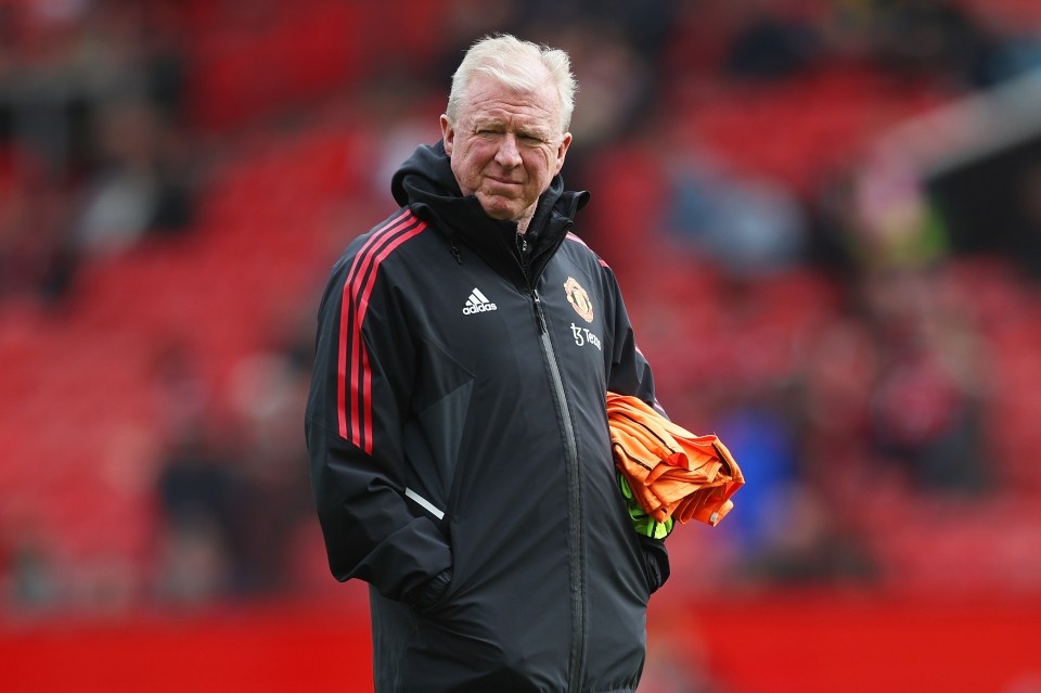 Fans love him for his uncanny resemblance to Steve McClaren