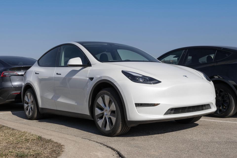 The Tesla Model Y EV was recommended for dog owning families