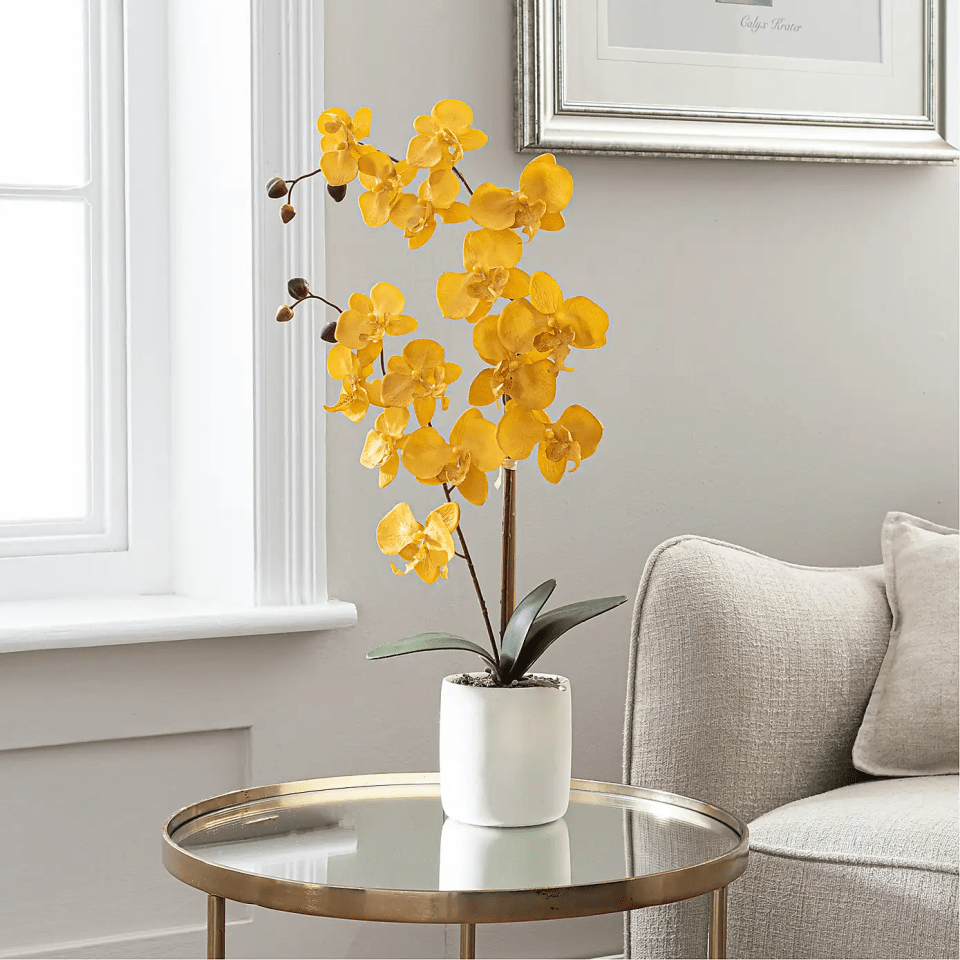 Dunelm’s ochre orchid, £4