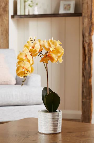 Real Touch orchid, £26 from Next