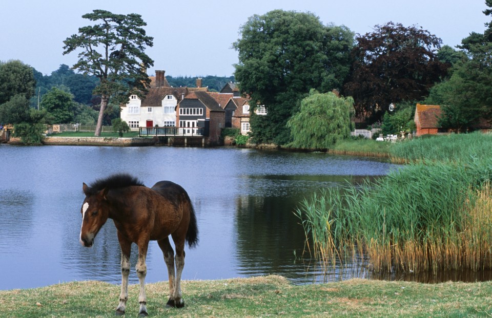 The village is famous for its ponies and its scenic views