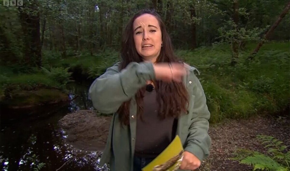 She had to cut to another clip as she started being attacked by midges