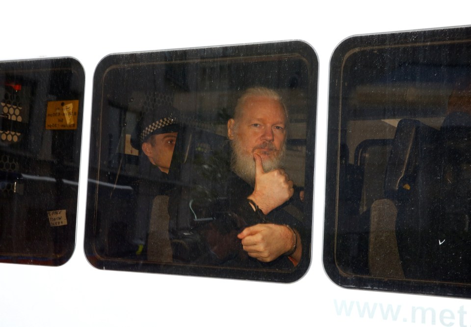 Assange after being arrested by the Met Police in 2019