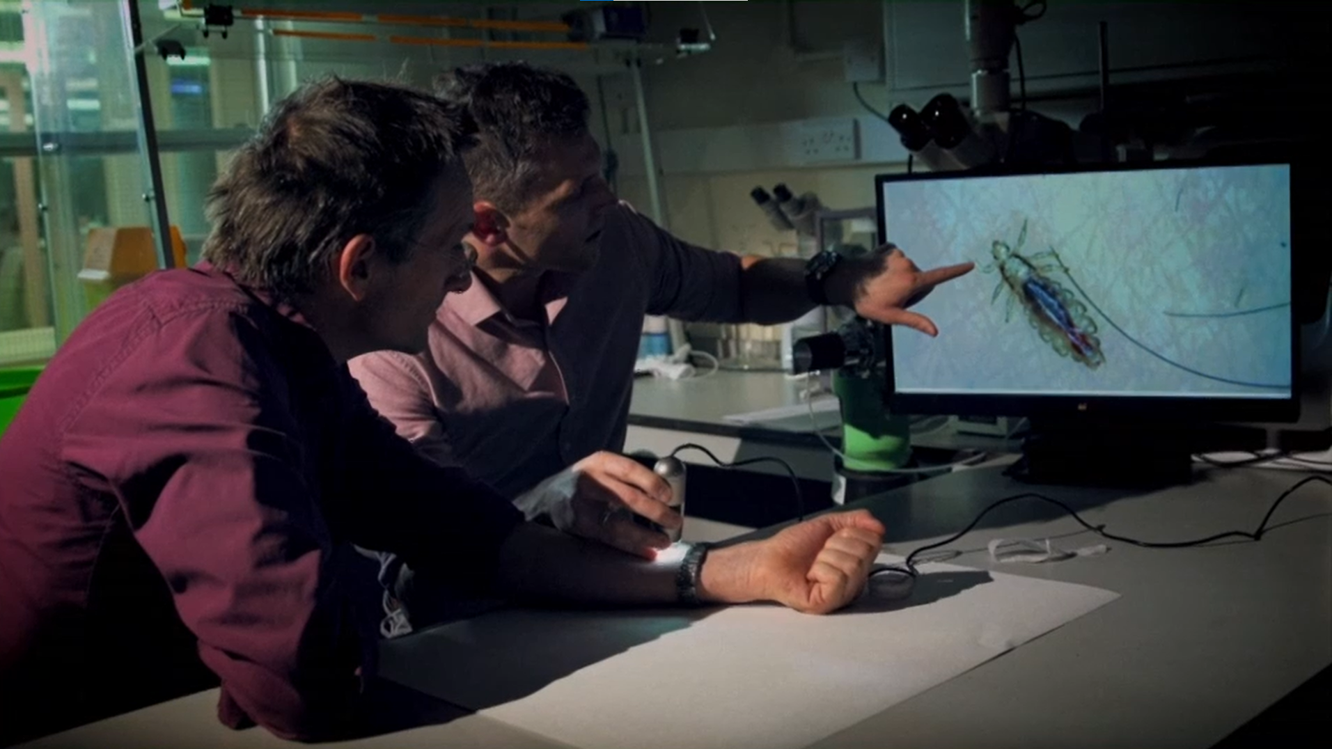 two men looking at a computer screen with a bug on it