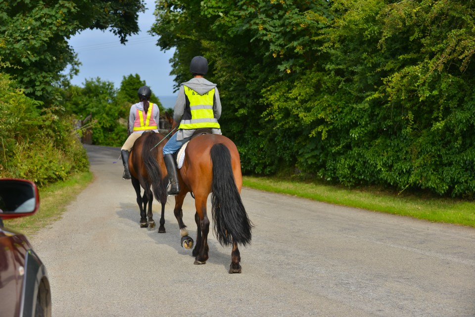 Drivers have been urged to take care when overtaking horses on the road - or risk a £200 fine