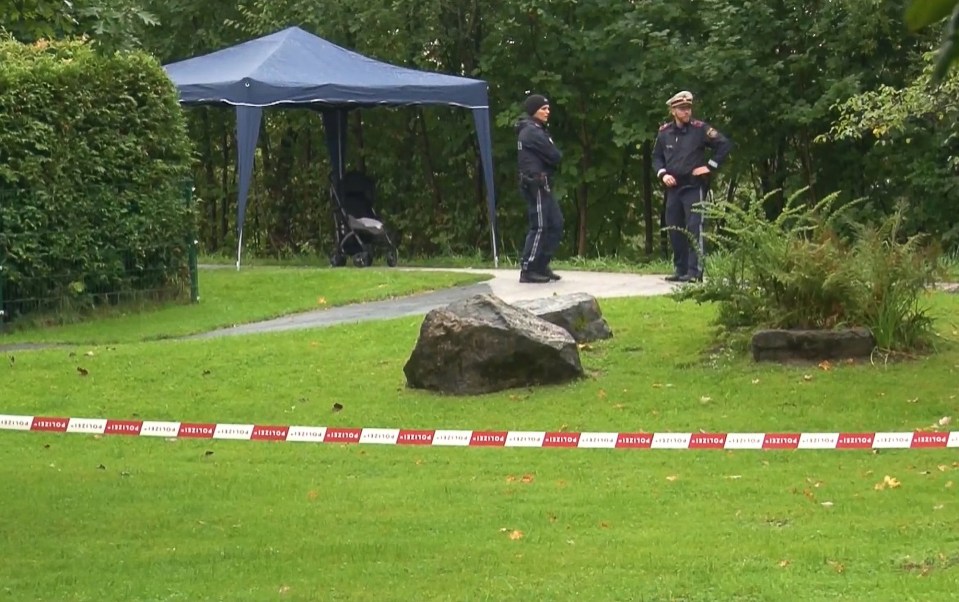 Picture shows the empty buggy left at the crime scene in Sankt Johann, Austria