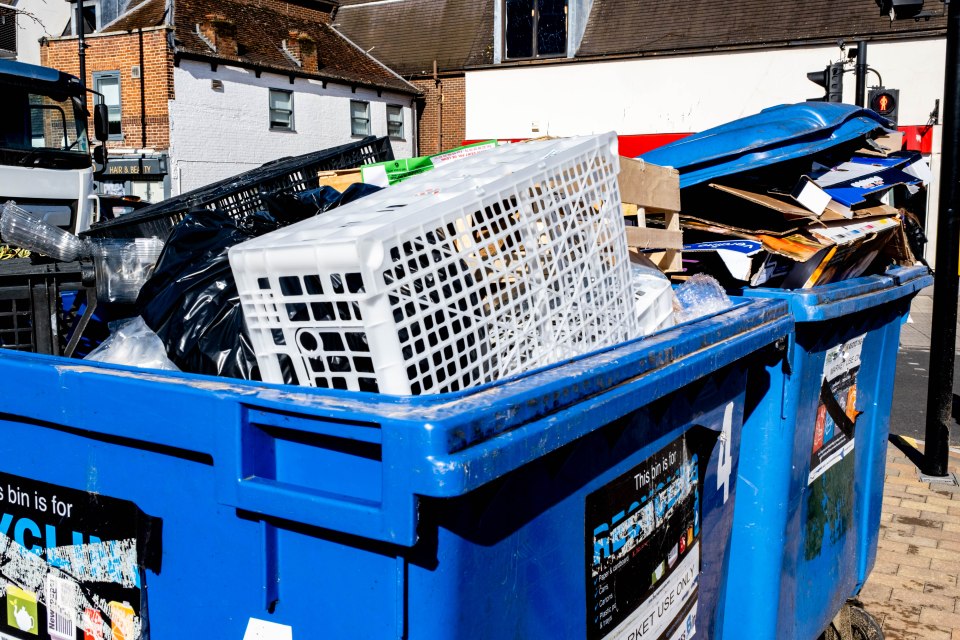 Bins and skips in the carparks of retailers are considered to be on private property and therefore you could be trespassing by accessing them