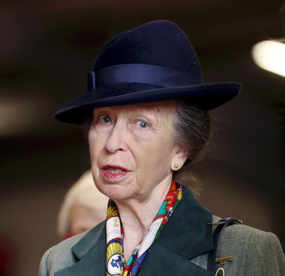 Princess Anne appeared to have a black eye at the engagement today