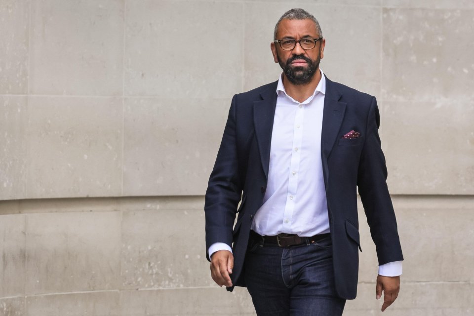 James Cleverly is popular with MPs and has held two of the great offices of state