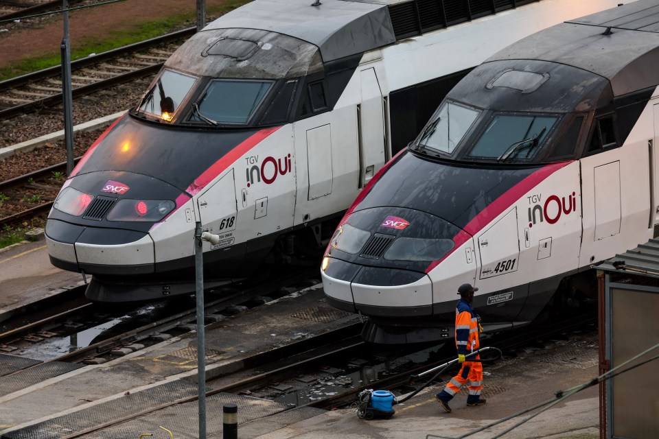 High speed trains including the Eurostar and TGV have been cancelled