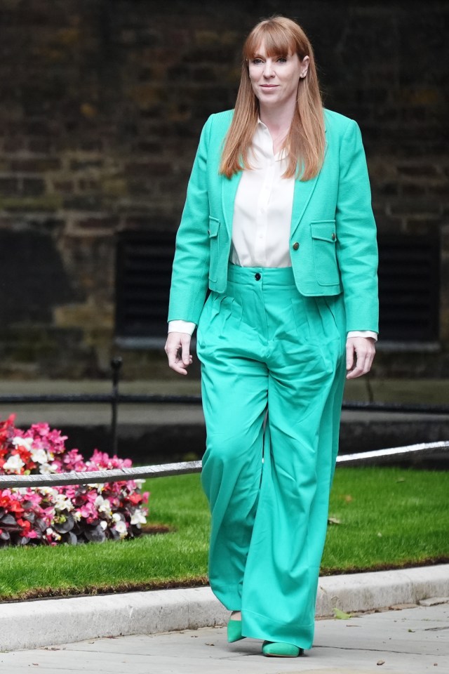 The Deputy Prime Minister had previously been mocked for wearing a mint green power suit costing £550