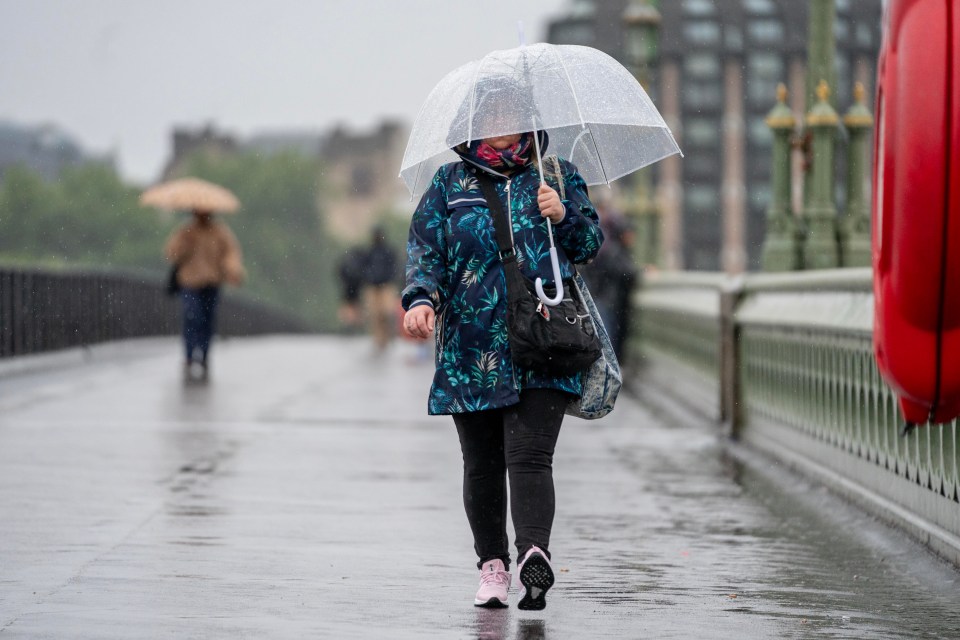 Londoners dealt with a very wet morning on Friday