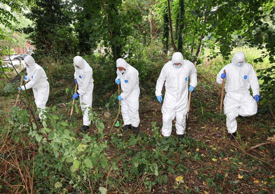 a group of men in white jumpsuits and blue gloves are standing in the woods