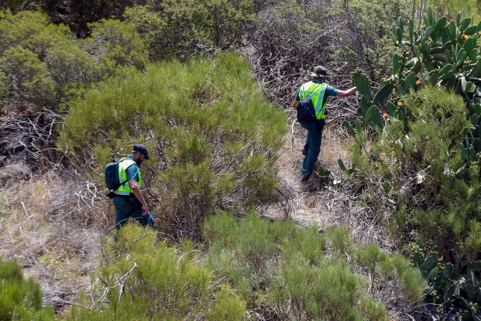 two men in green vests are walking through a brushy area