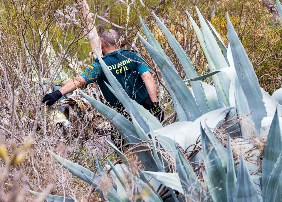 Cops scoured the mountainous area near where Jay was last known to be