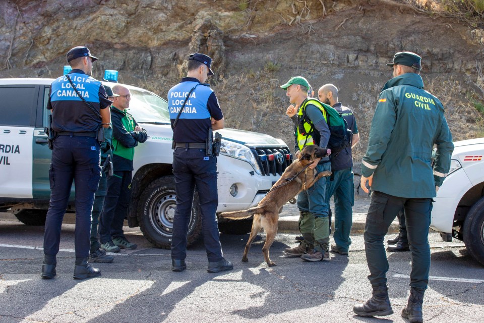 Spanish cops brought in dogs and drones to help the search