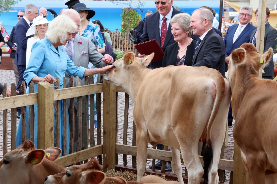 Queen Camilla attends the Jersey Expo Event at Weighbridge Place during an official visit to Jersey on July 15