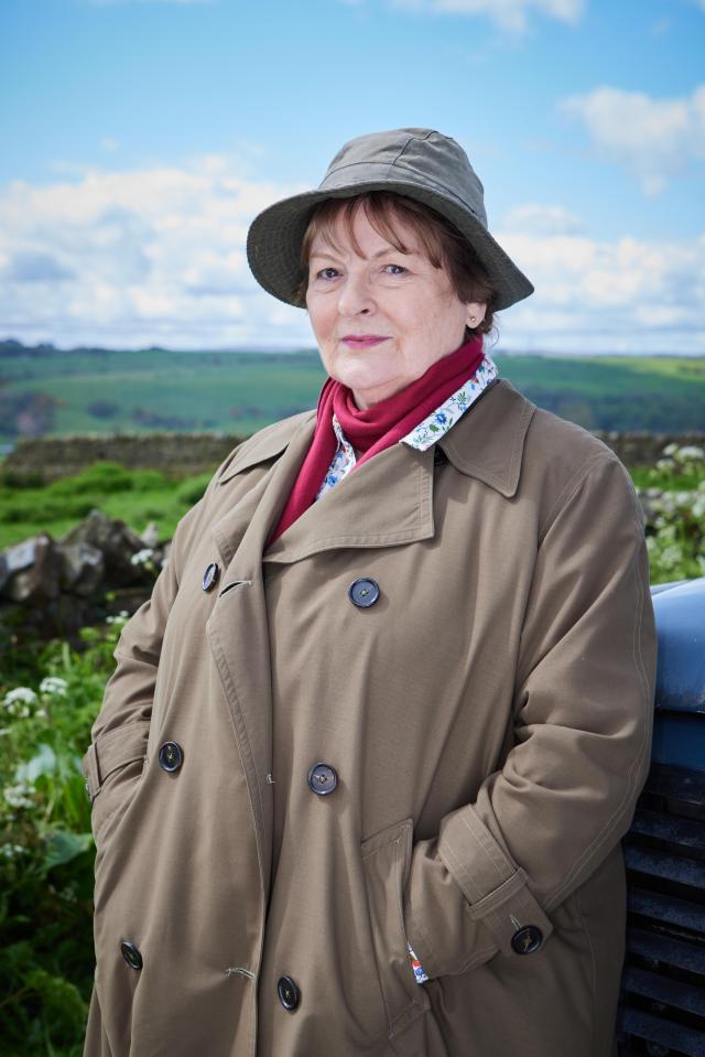 Brenda Blethyn began playing Detective Chief Inspector Vera Stanhope in 2011