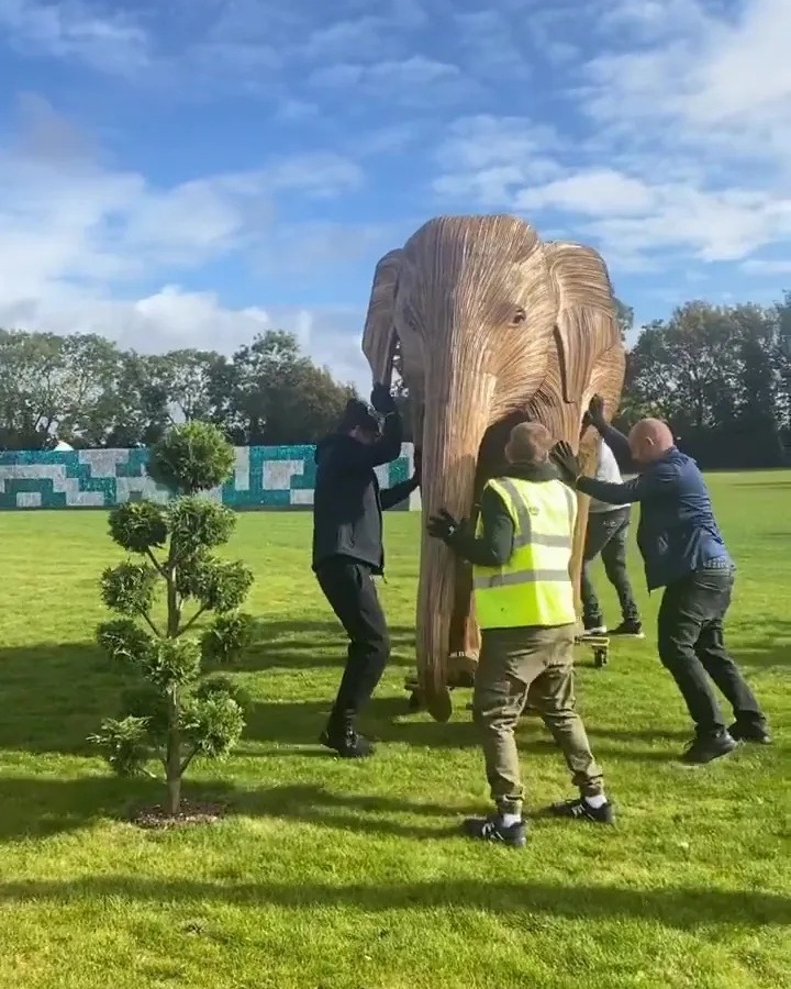 It took four men to maneuver the £22k elephant