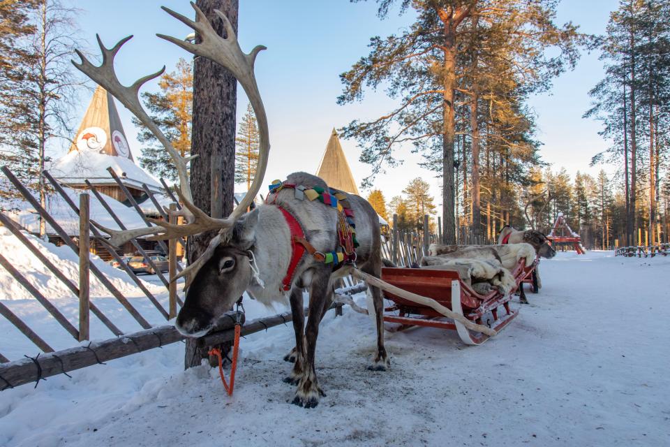 Trips to Lapland include reindeer sleigh rides and meeting Santa