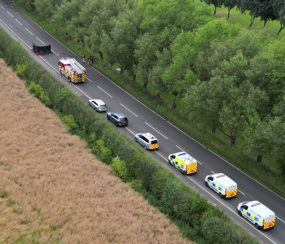 a row of police cars are driving down a road