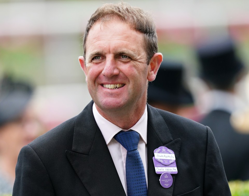 Does Charlie Appleby have a King George winner in the shape of Rebel's Romance?