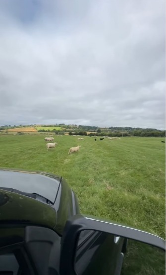 Better weather meant that he could safely drive on the fields