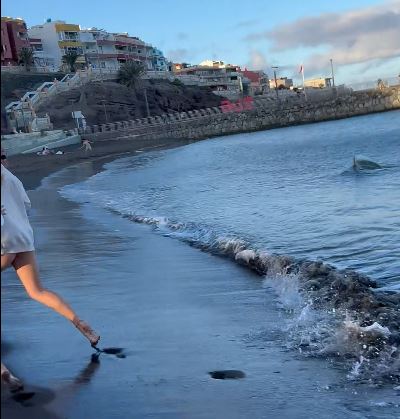 a woman is running on a beach next to a body of water .