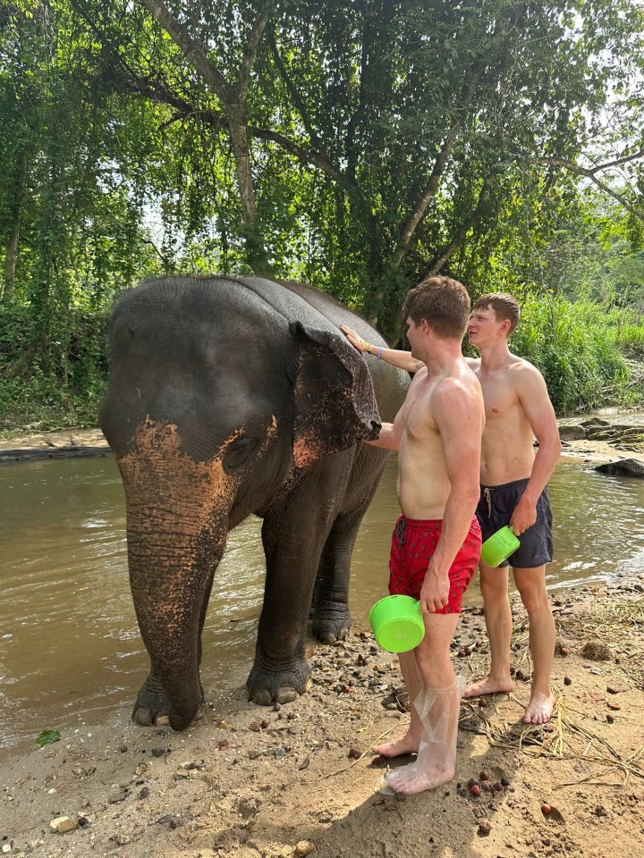 The brothers snapped with an elephant on their travels in Asia