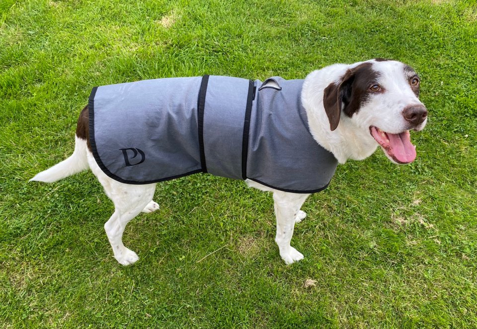 Pawdaw of London Luxury Dog Cooling Coat