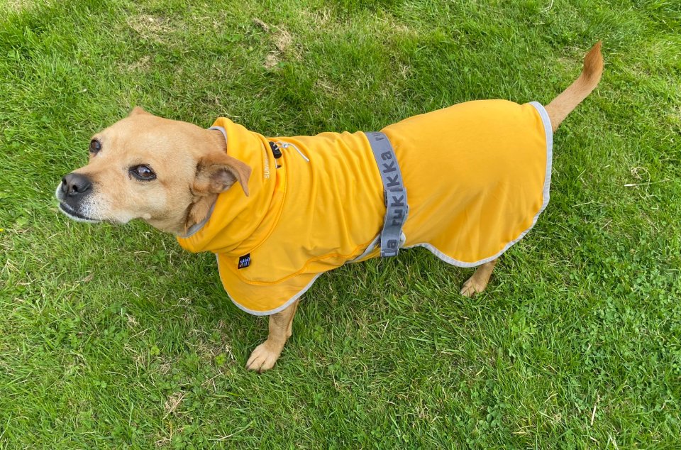 Rukka Pets Crisp UV Cooling Jacket