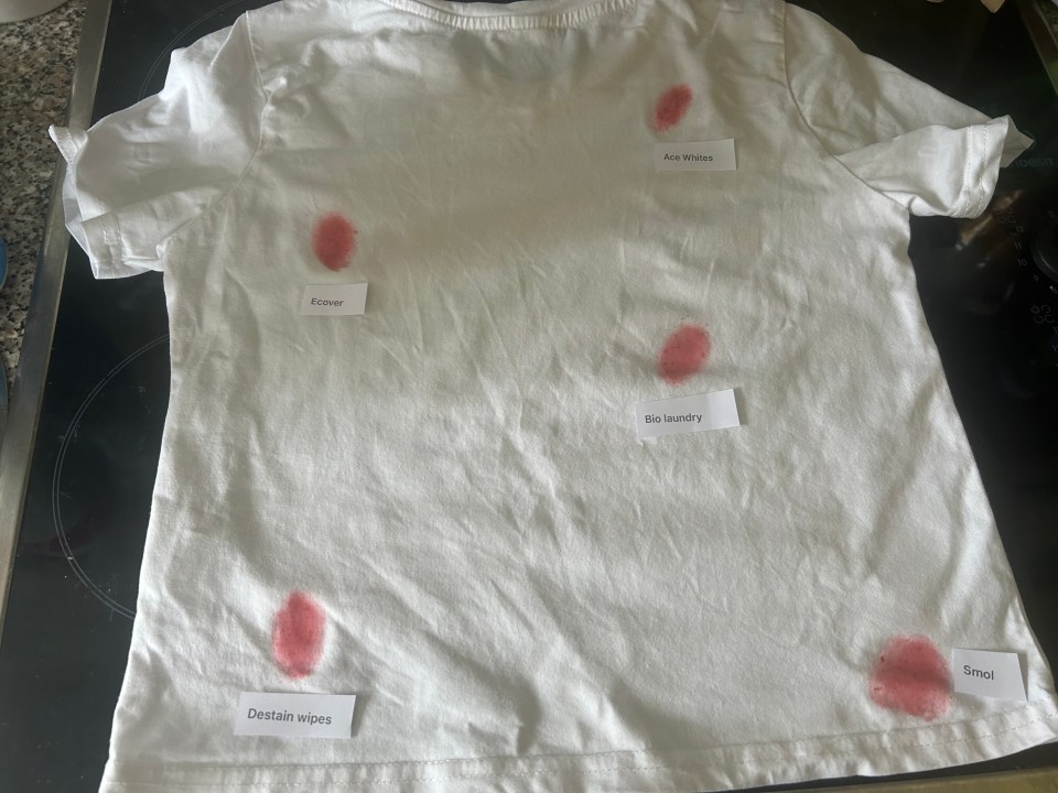 I tried the products on strawberry stains on one of my children's white T-shirts